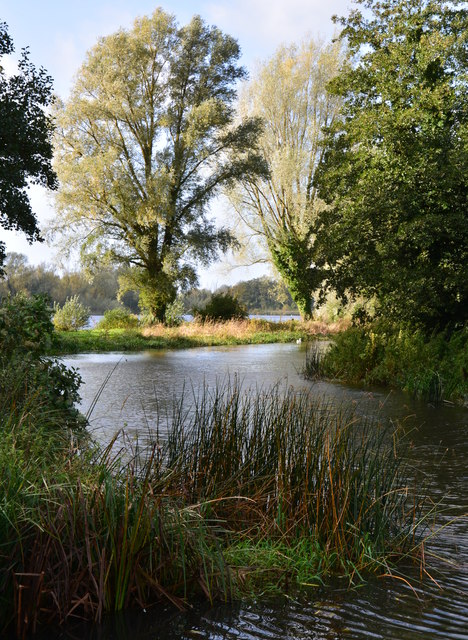 The River Kennet near Woolwichgreen Farm, Berkshire