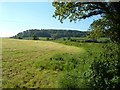 Field southwest of Gittisham