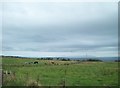 Cliff-top grazing land in Glenstaghey TD