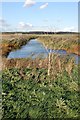 TQ7485 : Drainage Dyke by John Myers