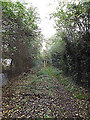 Footpath to Dorleys Corner