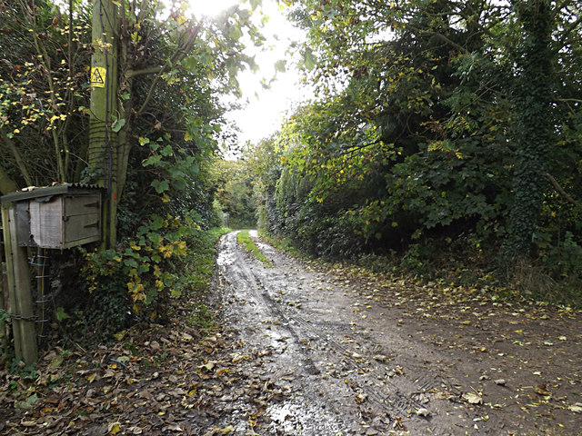 Footpath to Curlew Green