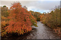 Allan Water in Autumn