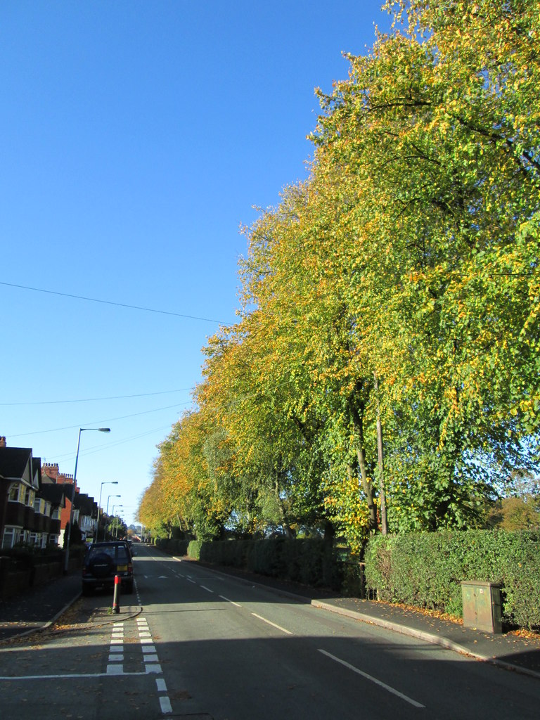 Spring Gardens, Leek © David Weston cc-by-sa/2.0 :: Geograph Britain ...