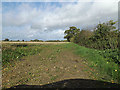 Footpath to Curlew Green