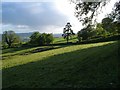 Slopes of Gittisham Hill