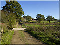 Track to Dens Farm