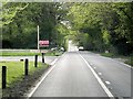 Canterbury Road, Longbeech Wood