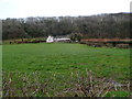 Western side of Grange Wood, St Brides Netherwent