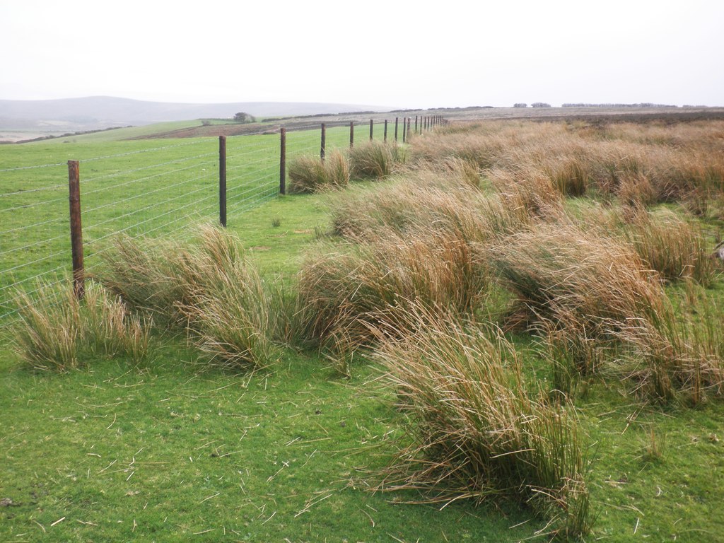 symbolic-meaning-of-grass-and-roots-on-whats-your-sign