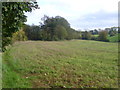 Countryside on the edge of New Addington