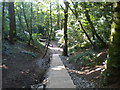 Steps to the Trent near Slack Hollow