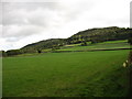 Farmland below Merbach Hill