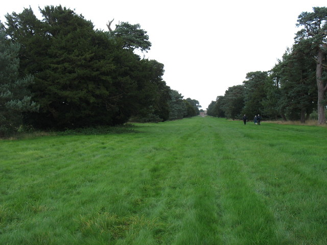 Monnington Walk