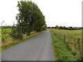 SO1267 : Tree-lined upland road between Dolau and Llanddewi Ystradenni by Jaggery