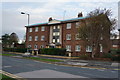 Flats on Walker Street, Hull