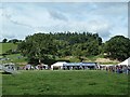 East side of arena at Llanfair Show