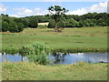 River Misbourne, off the South Bucks Way