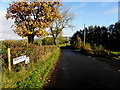 Reaghan Road, Dunbreen