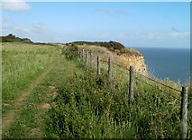 SS9567 : Clifftop track east of Llantwit Beach by Jaggery