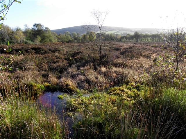 Bogland, Tircur © Kenneth Allen :: Geograph Ireland