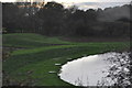 Newcastle-under-Lyme District : Grassy Field