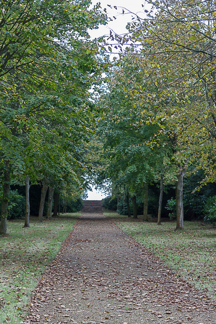Woodland Area, Blickling Hall, Norfolk