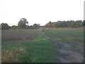 Bridleway to Eagle Barnsdale