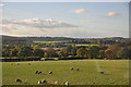 Birmingham : Countryside Scenery