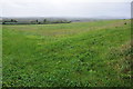 Farmland at Uphampton