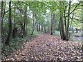 Ecton Brook Linear Park