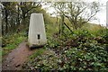 Trig point on Abberley Hill