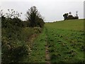 Footpath near Wherwell, Hampshire