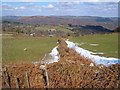 Field boundary north of Black Hill