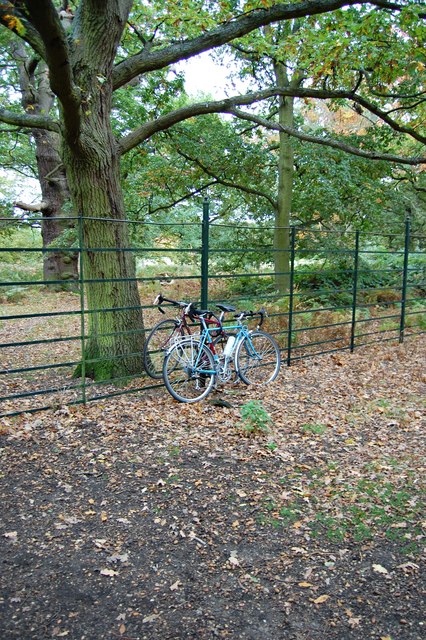 Captive bicycles