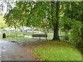 Seat by the pond, Buriton