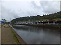 SX8059 : River Dart and Baltic Wharf, Totnes by David Smith