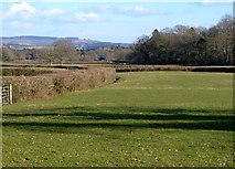 SX8076 : Fields near Langaller Farm by Derek Harper