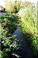 The River Bure by Hunts Close