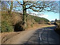 Road down Liverton Brook valley