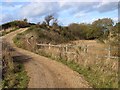 Waskerley Way near Redhouse Farm