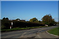 Cheapside (road) towards Waltham