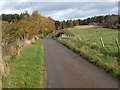 Minor road near Foresterseat