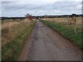 Minor road near Auchtertyre