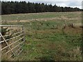 Farmland near Castlehill