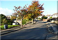 Poplar Road from Poplar Crescent