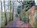 Public footpath south of St Ambrose