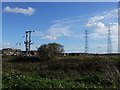 Pylons on Diggs Marshes, near West Minster