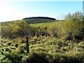 Drumnamarla Townland