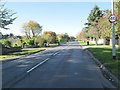 Wigton Lane - viewed from Wigton Chase